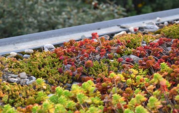 the cost of Cambrose green roof installation