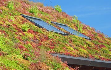Cambrose living roof systems